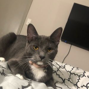 Meet your Posher, Carla